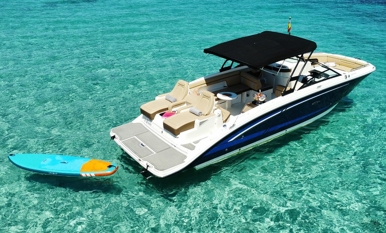 SEA RAY 290