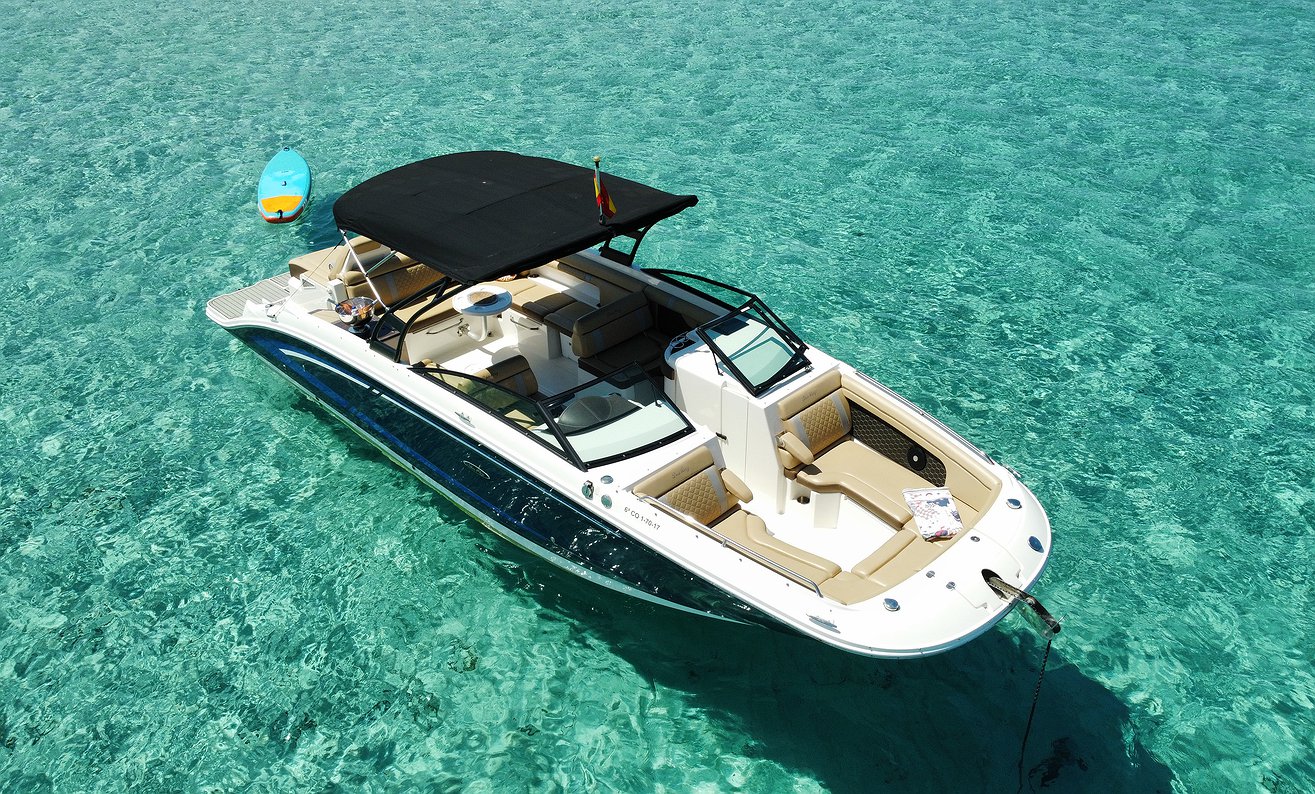 SEA RAY 290