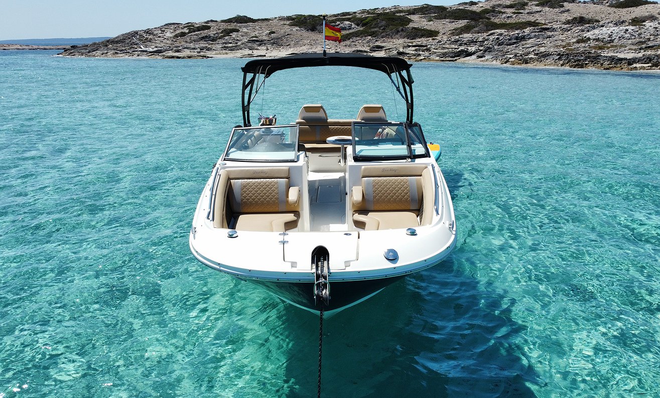 SEA RAY 290